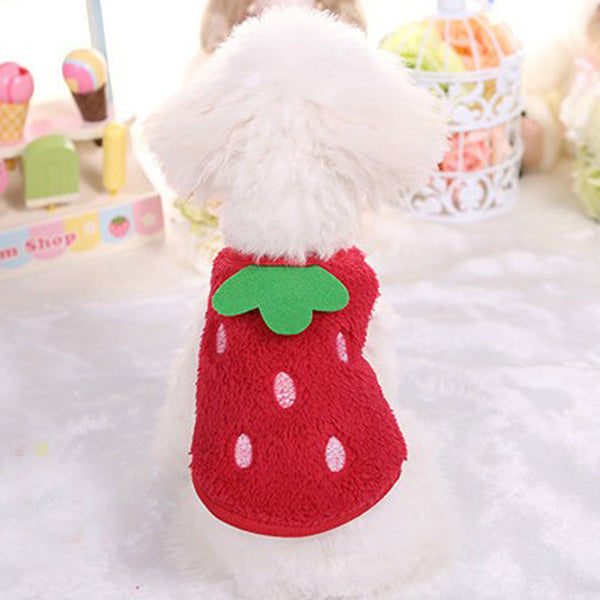 Strawberry Costume Clothes for Teacup Puppies